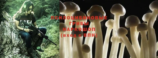 2c-b Балабаново